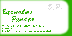 barnabas pander business card